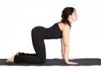 Beginner Yoga Pose